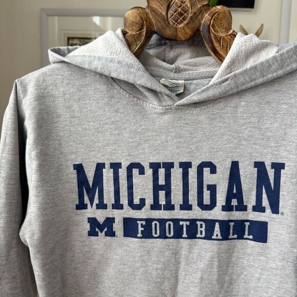 Delta University of Michigan Football Hoodie Sweatshirt S - Picture 1 of 6